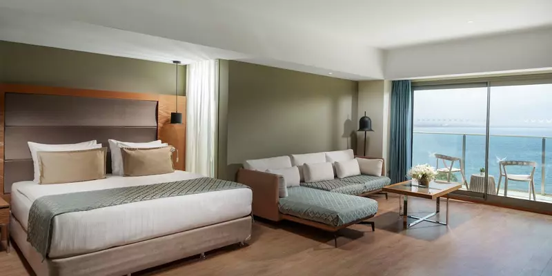 room_de09d44c-d1c4-48f4-b76f-e25db213c094