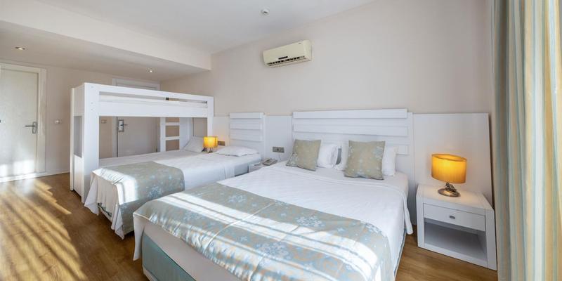room_fe668e76-df6f-4eba-933d-d5f21ed54445
