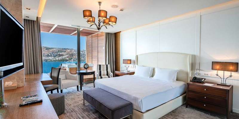room_612dfd9e-01ff-4d41-a8e1-242114bb2aa0