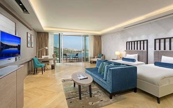 room_873aeb30-1c3b-459a-9eaf-d9b38cb456de