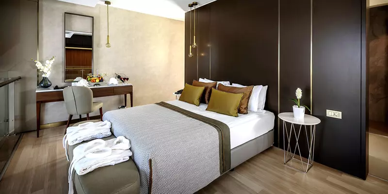 room_e4c21e6a-31d7-455b-ab08-39e2ef9d440e