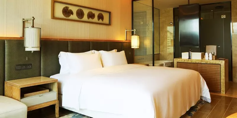 room_d5a2367f-8890-447f-b1aa-4d58a54ec57c